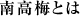 南高梅とは
